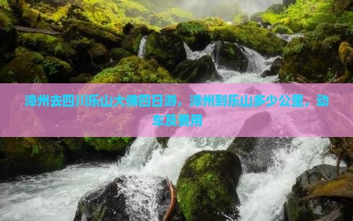 漳州去四川乐山大佛四日游