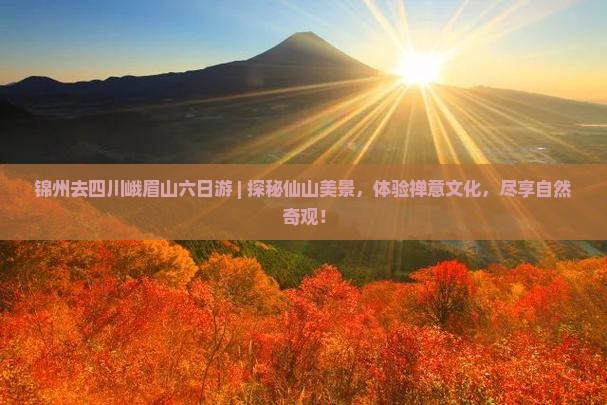 锦州去四川峨眉山六日游
