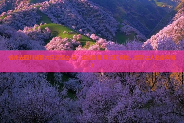 忻州去四川成都六日游
