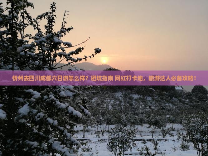 忻州去四川成都六日游