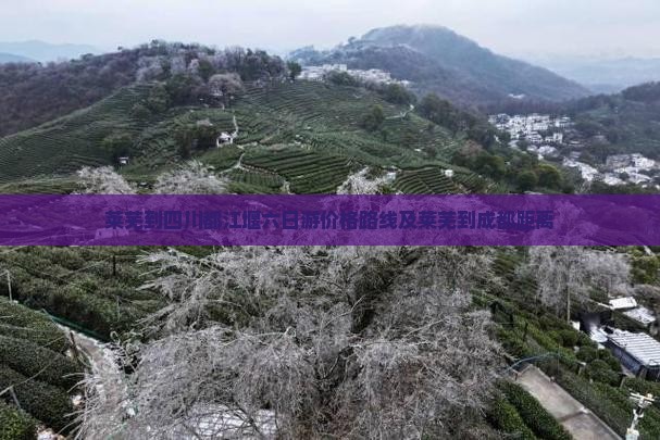 莱芜到四川都江堰六日游
