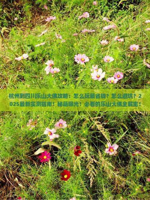 杭州到四川乐山大佛攻略