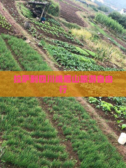 拉萨到四川峨眉山自由行