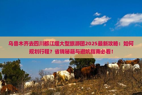 乌鲁木齐去四川都江堰大型旅游团