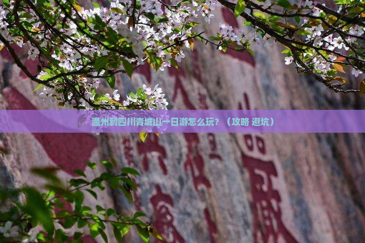 温州到四川青城山一日