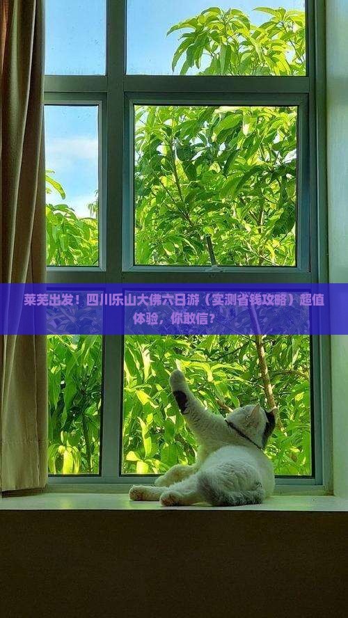 莱芜去四川乐山大佛六日游
