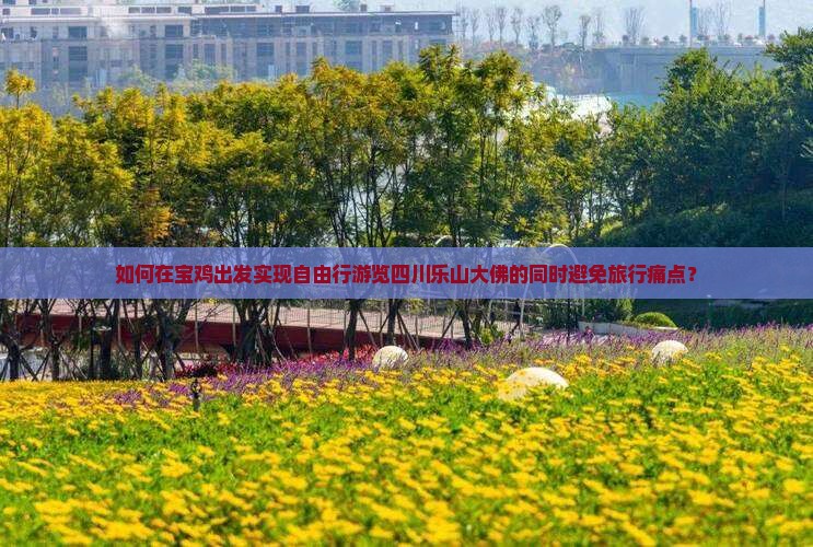 如何在宝鸡出发实现自由行游览四川乐山大佛的同时避免旅行痛点？