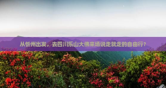 从忻州出发，去四川乐山大佛来场说走就走的自由行？
