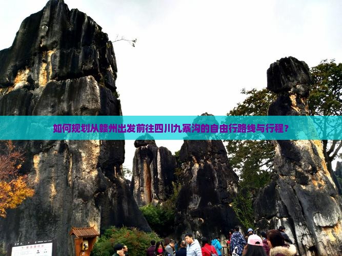 如何规划从赣州出发前往四川九寨沟的自由行路线与行程？