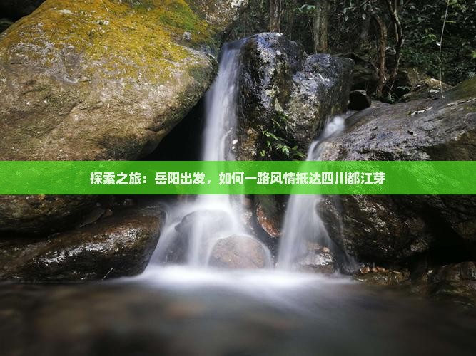 探索之旅：岳阳出发，如何一路风情抵达四川都江芽