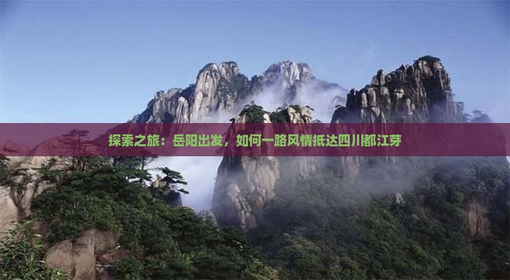 探索之旅：岳阳出发，如何一路风情抵达四川都江芽