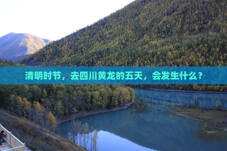 清明时节，去四川黄龙的五天，会发生什么？