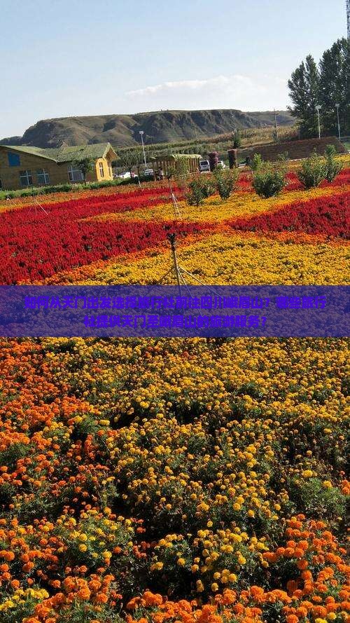 如何从天门出发选择旅行社前往四川峨眉山？哪些旅行社提供天门至峨眉山的旅游服务？