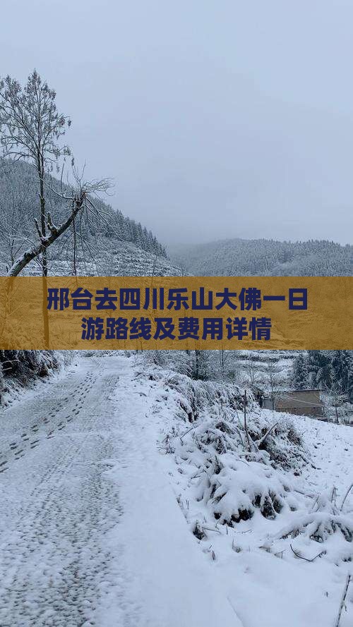 邢台去四川乐山大佛一日游路线及费用详情