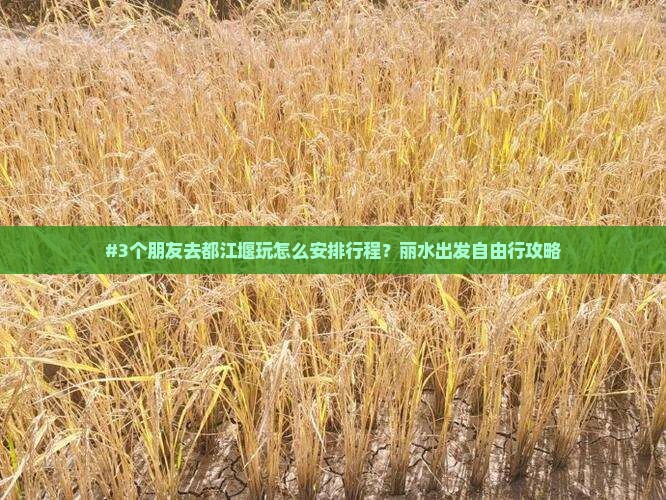 #3个朋友去都江堰玩怎么安排行程？丽水出发自由行攻略