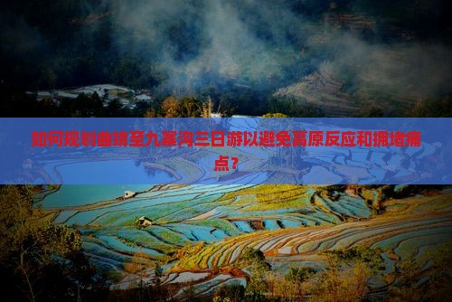 如何规划曲靖至九寨沟三日游以避免高原反应和拥堵痛点？