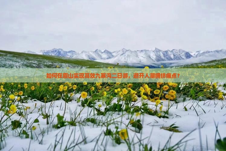 如何在眉山实现高效九寨沟二日游，避开人潮拥挤痛点？