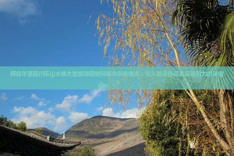 阿拉尔至四川乐山大佛大型旅游团如何解决游客痛点，引入新词热词实现吸引力的秘密？