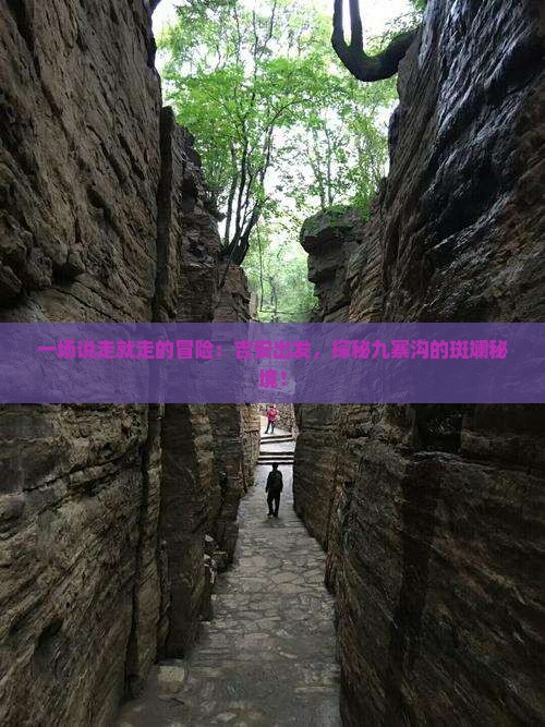 一场说走就走的冒险：吉安出发，探秘九寨沟的斑斓秘境！