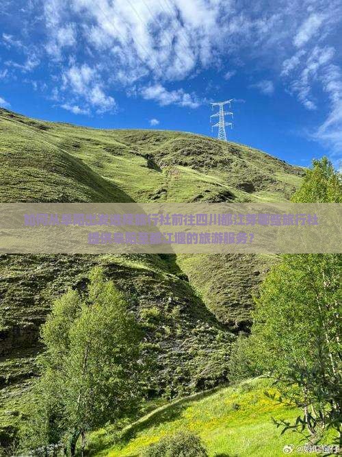 如何从阜阳出发选择旅行社前往四川都江芽哪些旅行社提供阜阳至都江堰的旅游服务？