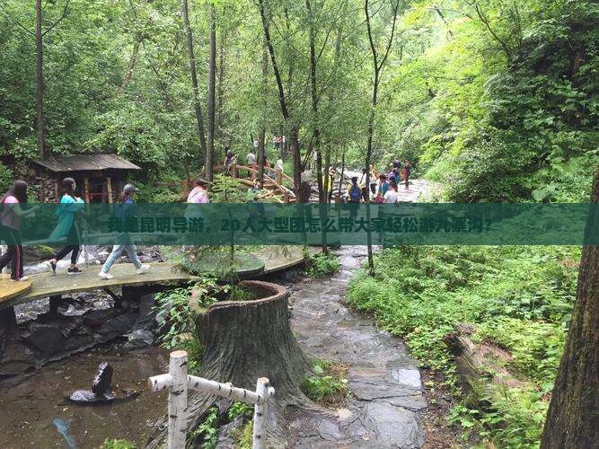 我是昆明导游，20人大型团怎么带大家轻松游九寨沟？