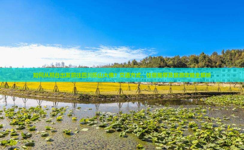 如何从邢台出发前往四川乐山大佛？交通方式、住宿推荐及旅游攻略全解析