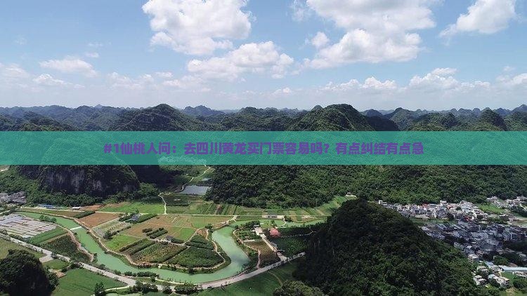 #1仙桃人问：去四川黄龙买门票容易吗？有点纠结有点急