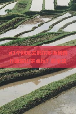 #3个朋友去鄂尔多斯到四川峨眉山景点玩？超全攻略都给你