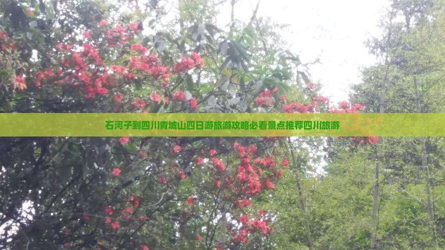 石河子到四川青城山四日游旅游攻略必看景点推荐四川旅游