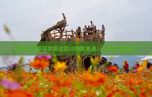 如何从成都高效到达四川黄龙景点，解决交通难题？
