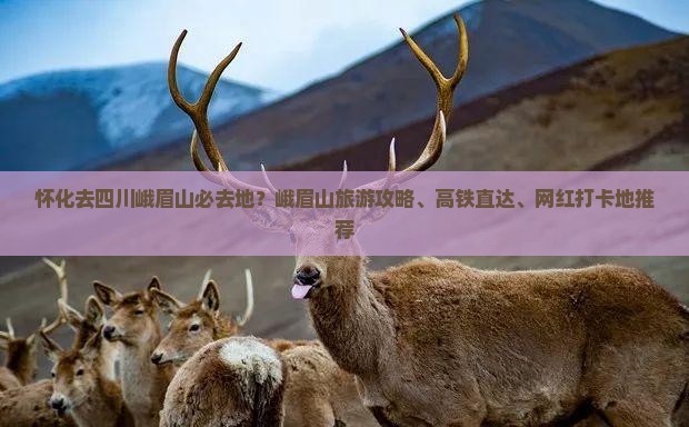 怀化去四川峨眉山必去地？峨眉山旅游攻略、高铁直达、网红打卡地推荐