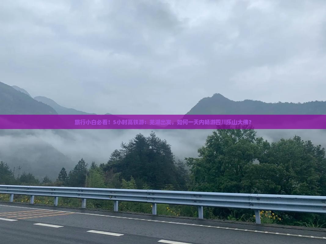 旅行小白必看！5小时高铁游：芜湖出发，如何一天内畅游四川乐山大佛？