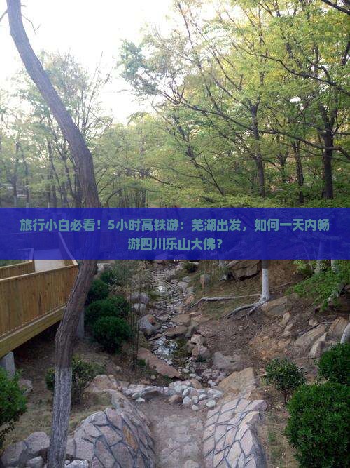 旅行小白必看！5小时高铁游：芜湖出发，如何一天内畅游四川乐山大佛？