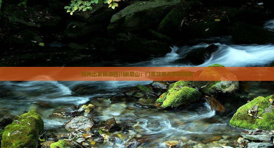 朔州出发畅游四川峨眉山：门票攻略与旅游指南