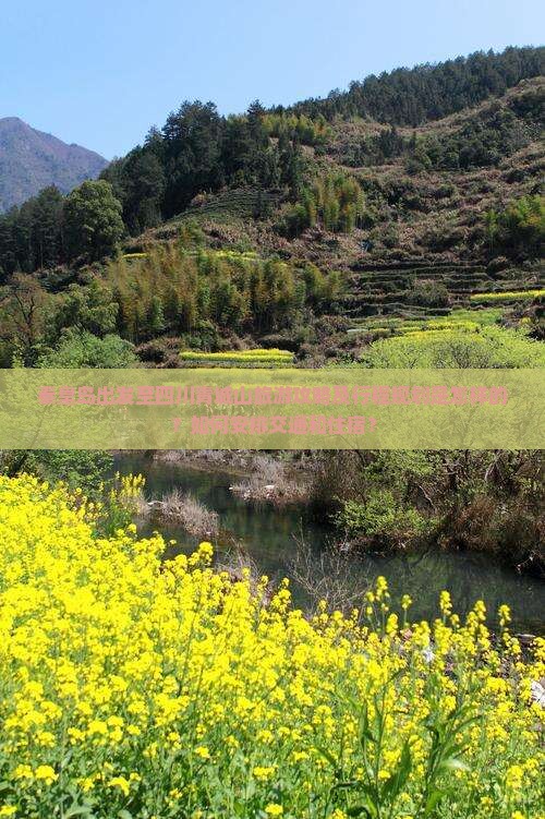 秦皇岛出发至四川青城山旅游攻略及行程规划是怎样的？如何安排交通和住宿？