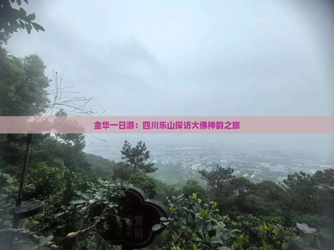 金华一日游：四川乐山探访大佛神韵之旅