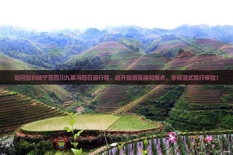 如何规划咸宁至四川九寨沟四日游行程，避开旅游高峰和痛点，享柿浸式旅行体验？