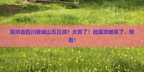 廊坊去四川青城山五日游？太贵了！捡漏攻略来了，快看！