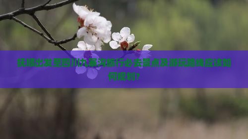 抚顺出发至四川九寨沟旅行必去景点及游玩路线应该如何规划？