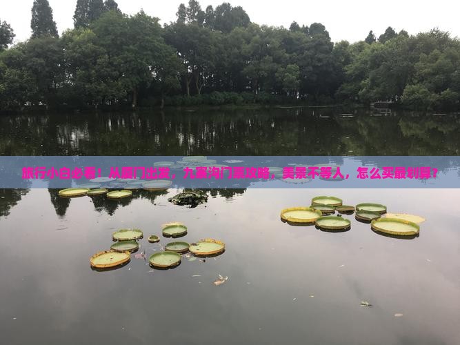 旅行小白必看！从厦门出发，九寨沟门票攻略，美景不等人，怎么买最划算？
