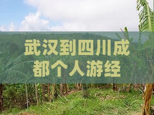武汉到四川成都个人游经典路线推荐