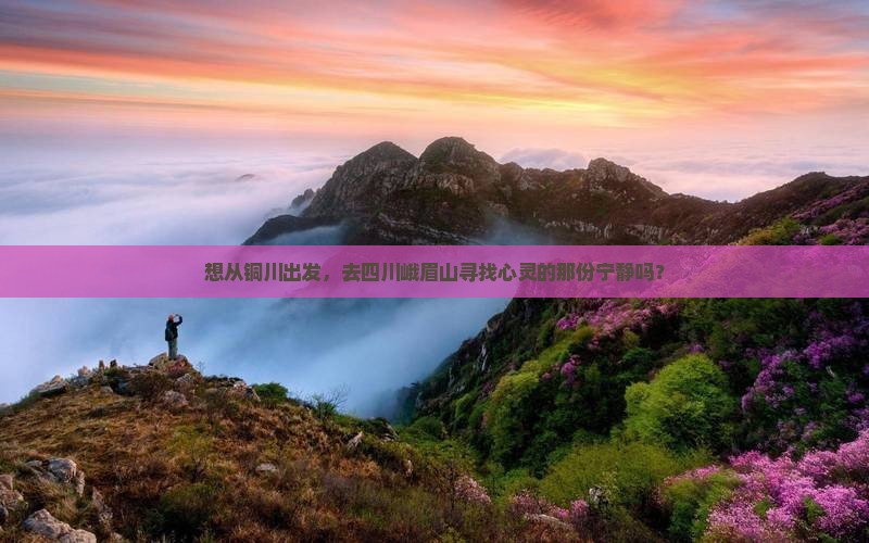 想从铜川出发，去四川峨眉山寻找心灵的那份宁静吗？