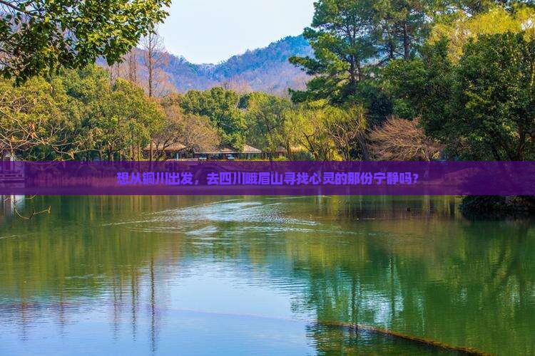 想从铜川出发，去四川峨眉山寻找心灵的那份宁静吗？
