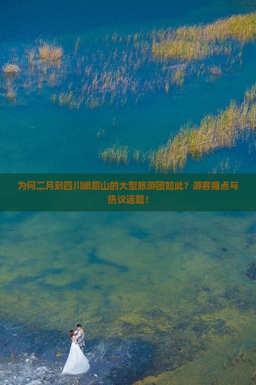 为何二月到四川峨眉山的大型旅游团如此？游客痛点与热议话题！