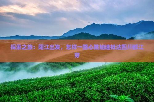探索之旅：阳江出发，怎样一路心跳加速抵达四川都江芽