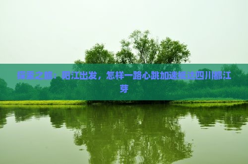 探索之旅：阳江出发，怎样一路心跳加速抵达四川都江芽