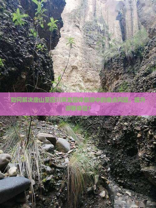 如何解决唐山至四川黄龙团体旅游中的痛点问题，提升游客体验？
