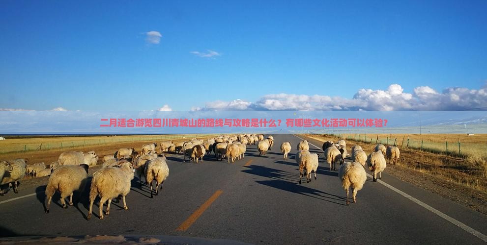 二月适合游览四川青城山的路线与攻略是什么？有哪些文化活动可以体验？