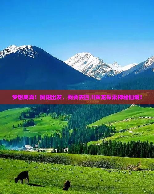 梦想成真！衡阳出发，我要去四川黄龙探索神秘仙境！