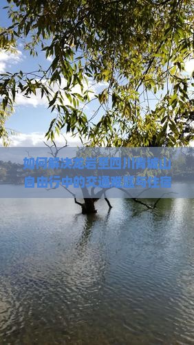 如何解决龙岩至四川青城山自由行中的交通难题与住宿选择？